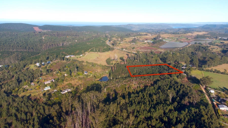 Commercial Property for Sale in Sedgefield Rural Western Cape